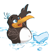 Illustration Pinguin BOBO auf Eisscholle