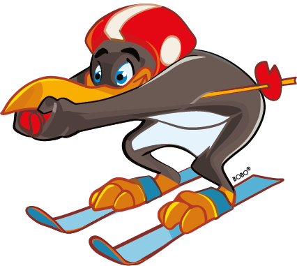 Illustration Pinguin BOBO in Abfahrtshocke